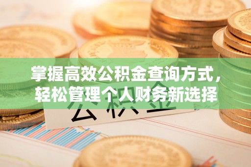 台州掌握高效公积金查询方式，轻松管理个人财务新选择